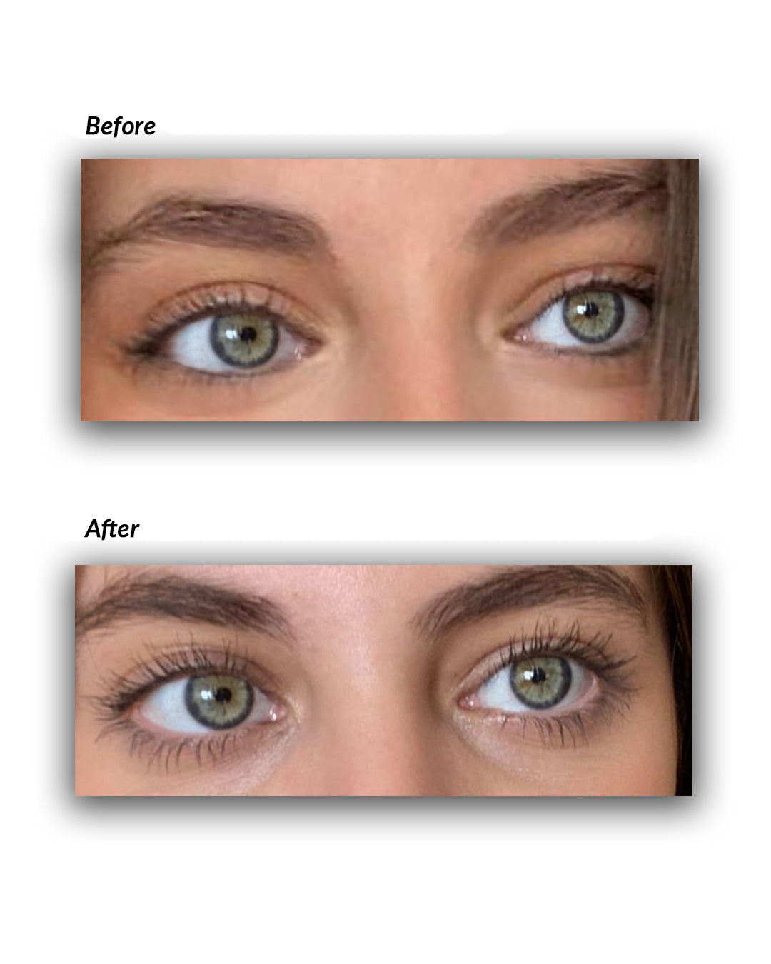 LASHES & BROWS GROWTH OIL