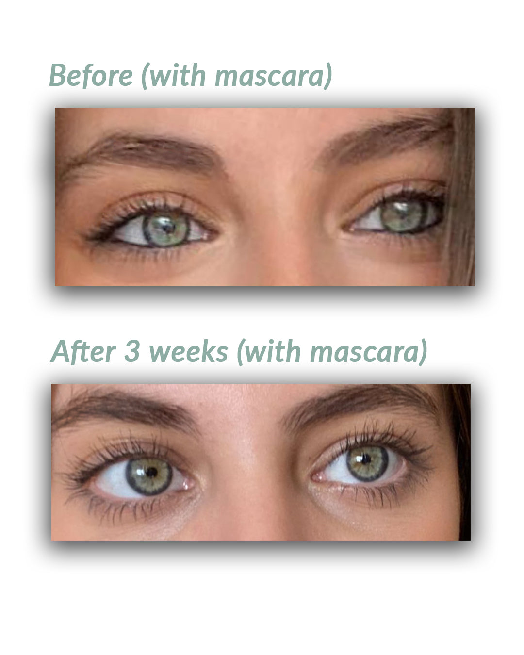 LASHES & BROWS GROWTH OIL