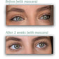 LASHES & BROWS GROWTH OIL